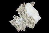 Native Silver Formation in Etched Calcite - Morocco #130775-1